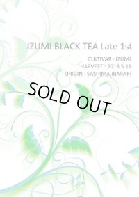【単品】IZUMI BLACK TEA Late 1st（15g）【紅茶】