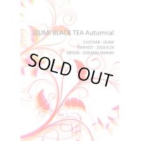 【単品】IZUMI BLACK TEA Autumnal（15g）【紅茶】