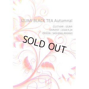 画像1: 【単品】IZUMI BLACK TEA Autumnal（15g）【紅茶】