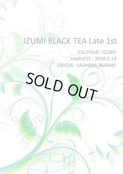 画像1: 【単品】IZUMI BLACK TEA Late 1st（15g）【紅茶】 (1)
