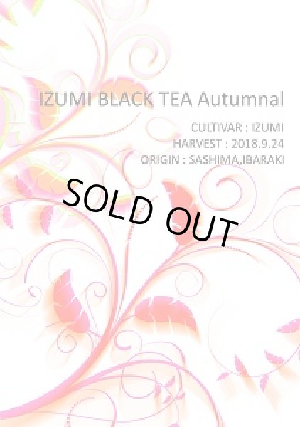 画像1: 【単品】IZUMI BLACK TEA Autumnal（15g）【紅茶】 (1)
